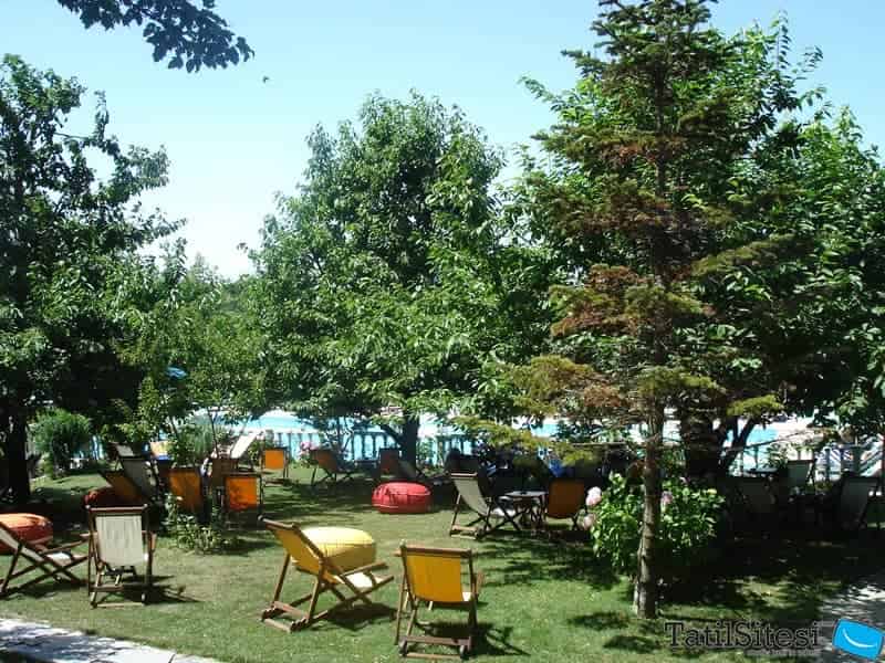 Club Adampol